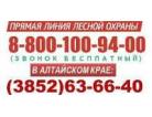 Telefon_goryachiy_sq200_138x106