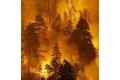 29011_1_russian-wildfires-awful_n_big-150x150_120x80