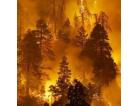 29011_1_russian-wildfires-awful_n_big-150x150_138x106